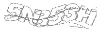 Check code