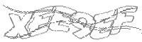 Check code